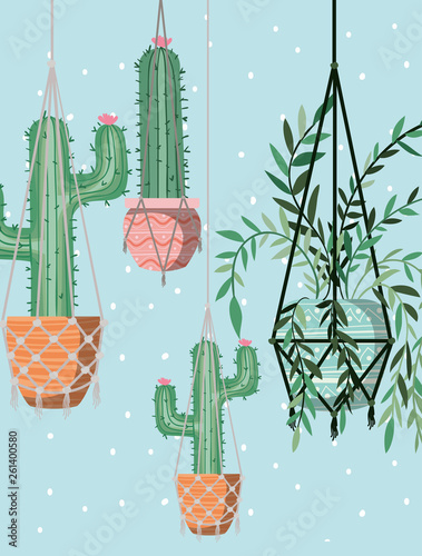 houseplants in macrame hangers
