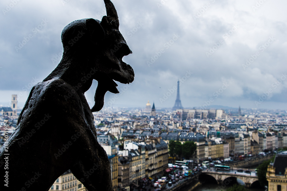 View of Paris from the Notre-Dame de Paris Tower