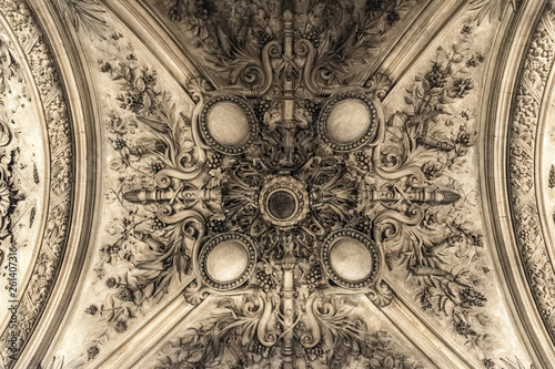 Ceiling detail of Palais Garnier