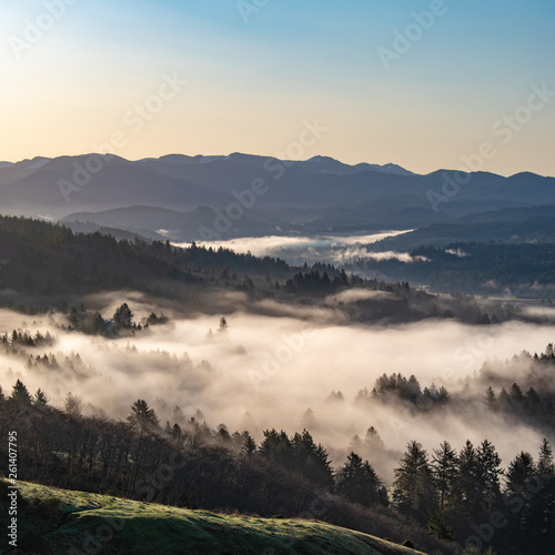 Morning fog in Oregon