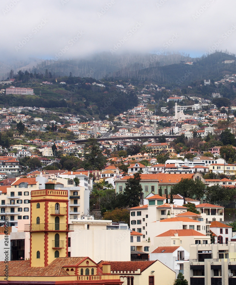 a view of the city of funchal in madeira with old church and houses with road bridge and mountains in the distance
