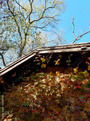 Tableau sur toile 森の中の古びた小屋（長野 安曇野）