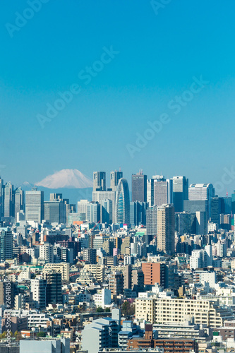 Bilde på lerret Tokyo skyline with mountain Fuji