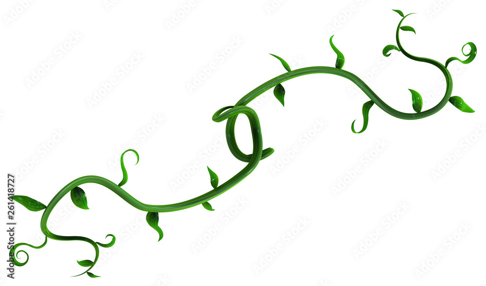 Obraz premium Plant Vines Green, Leaf Branch Hooks