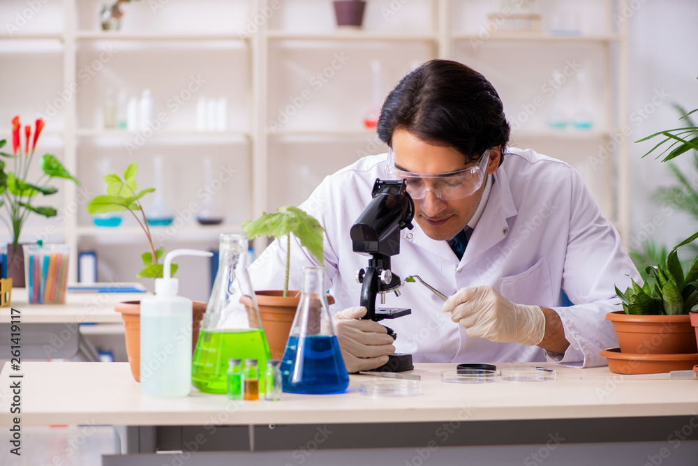 Fototapeta premium Biotechnology chemist working in lab