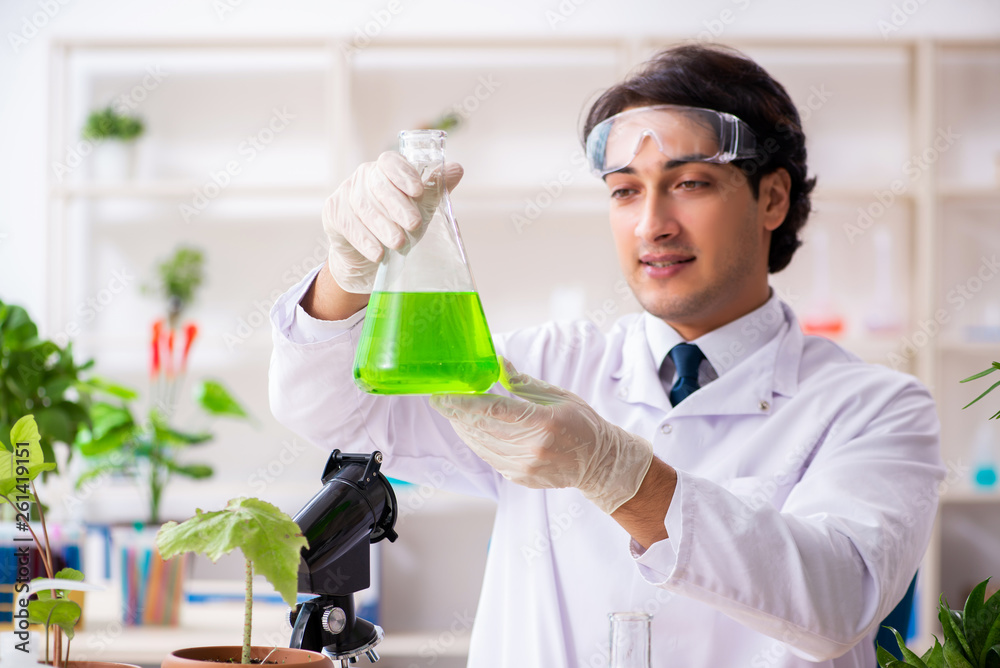 Biotechnology chemist working in lab Biotechnology chemist working in lab