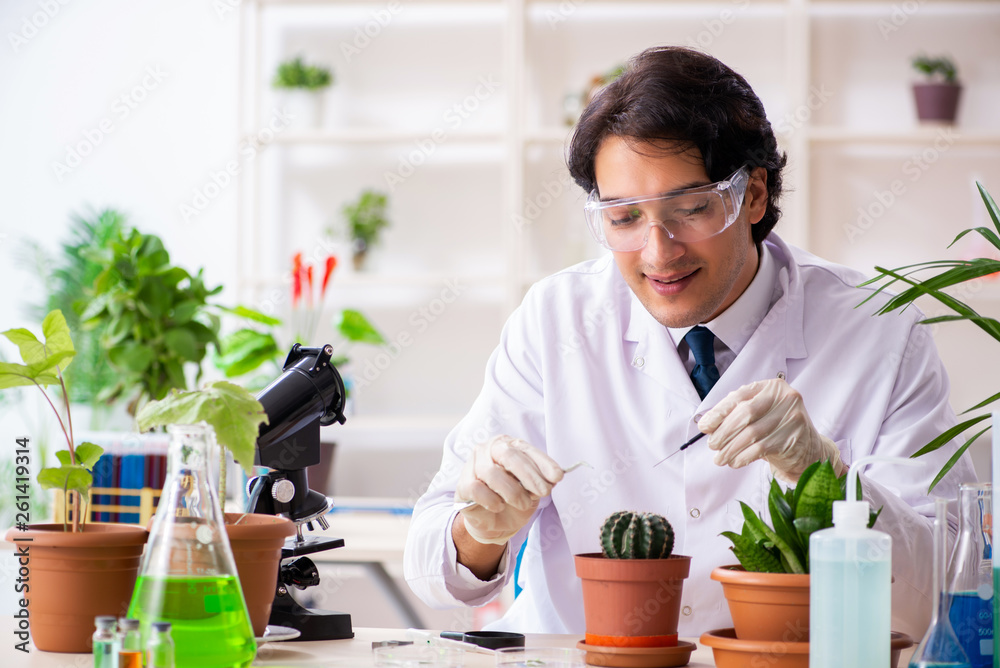 Biotechnology chemist working in lab Biotechnology chemist working in lab