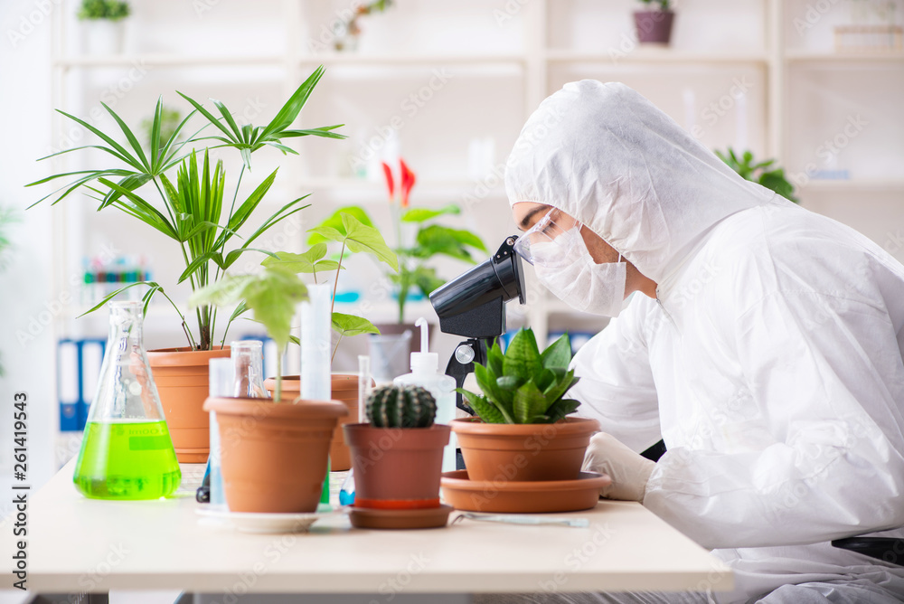 Fototapeta premium Biotechnology chemist working in lab