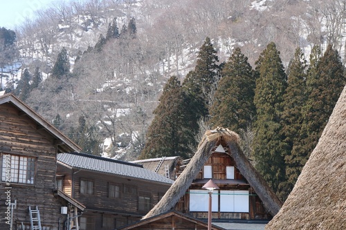 世界文化遺産の集落五箇山の合掌造り