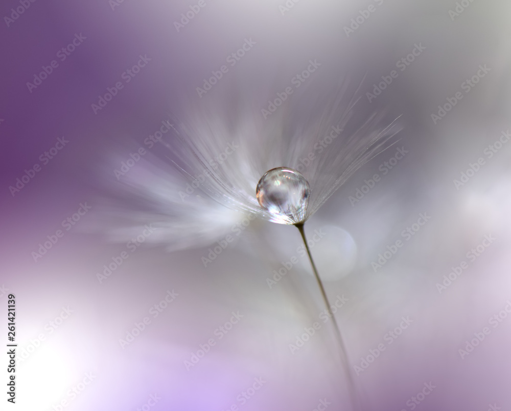Obraz premium Beautiful Spring Nature Background and dandelion flower.Abstract Macro Photography.Artistic closeup concept.Web Banner for design and website.Amazing Colorful Wallpaper.Violet Color.Floral Art.Plant.