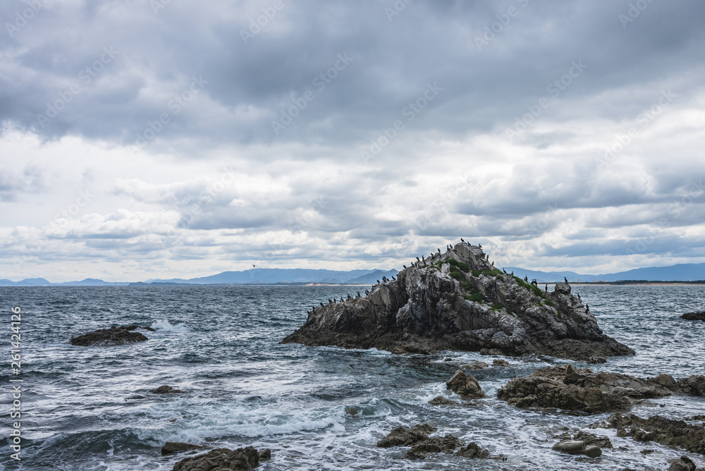 海岸の岸壁