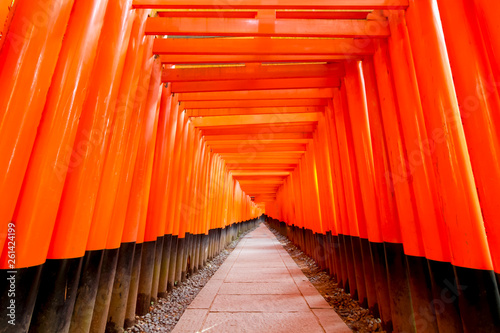 Torii Gate at Fushimi Inari Shrine  Kyoto  Japan