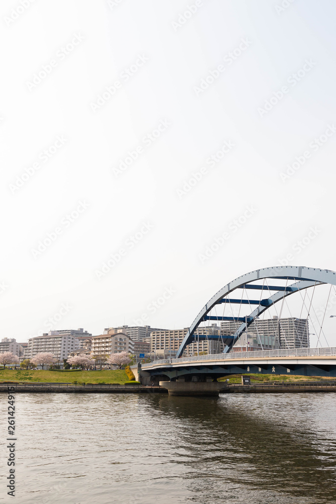 Obraz premium 桜と住宅街