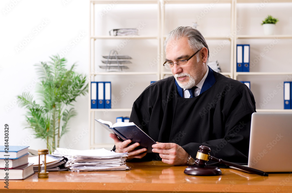 Naklejka premium Aged lawyer working in the courthouse