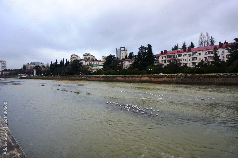 Naklejka premium Sochi River Central District.......