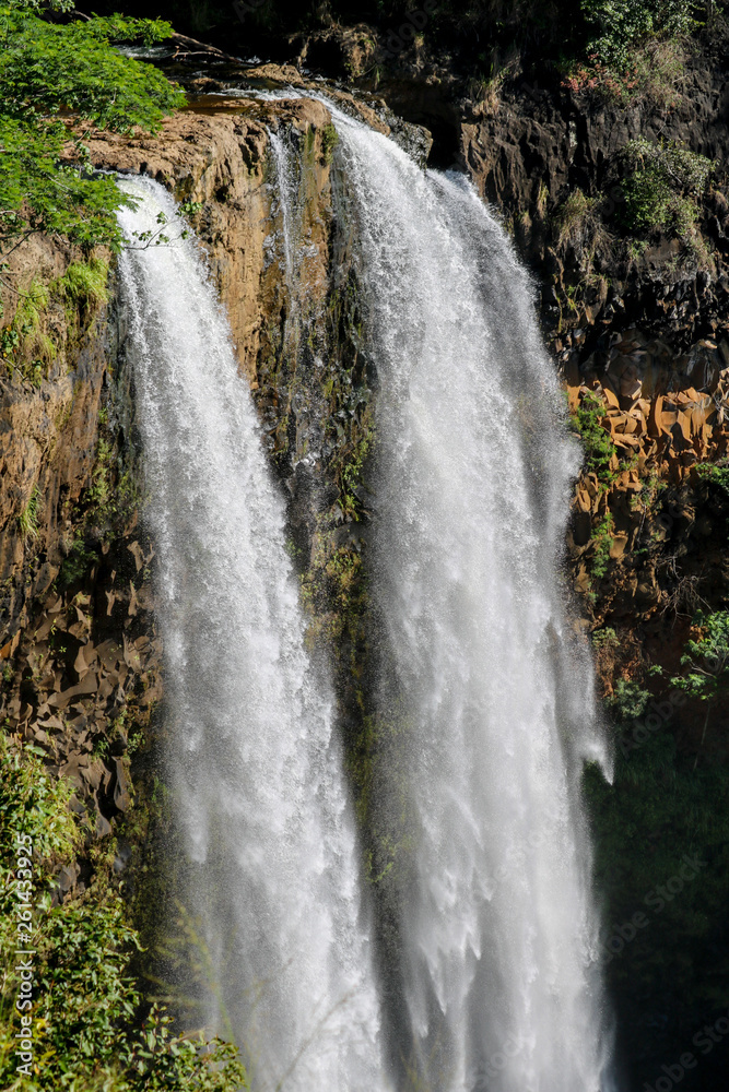 Obraz premium waterfall in the forest