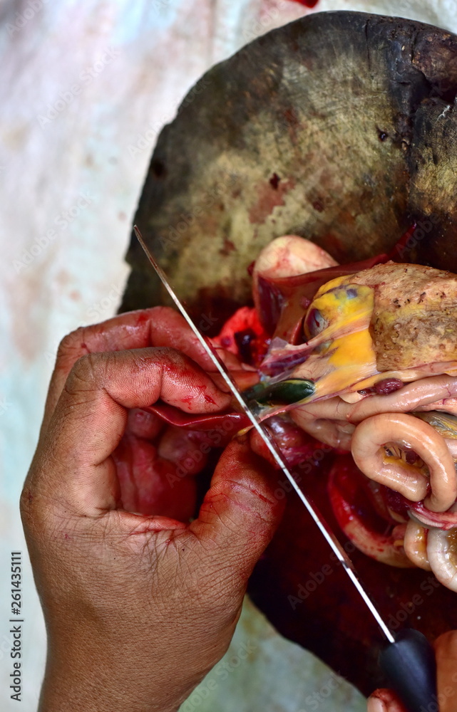 Man's hands cutting chicken Slicing folk chicken with meat and chicken pieces Man's hands cutting chicken Slicing folk chicken with meat and chicken pieces