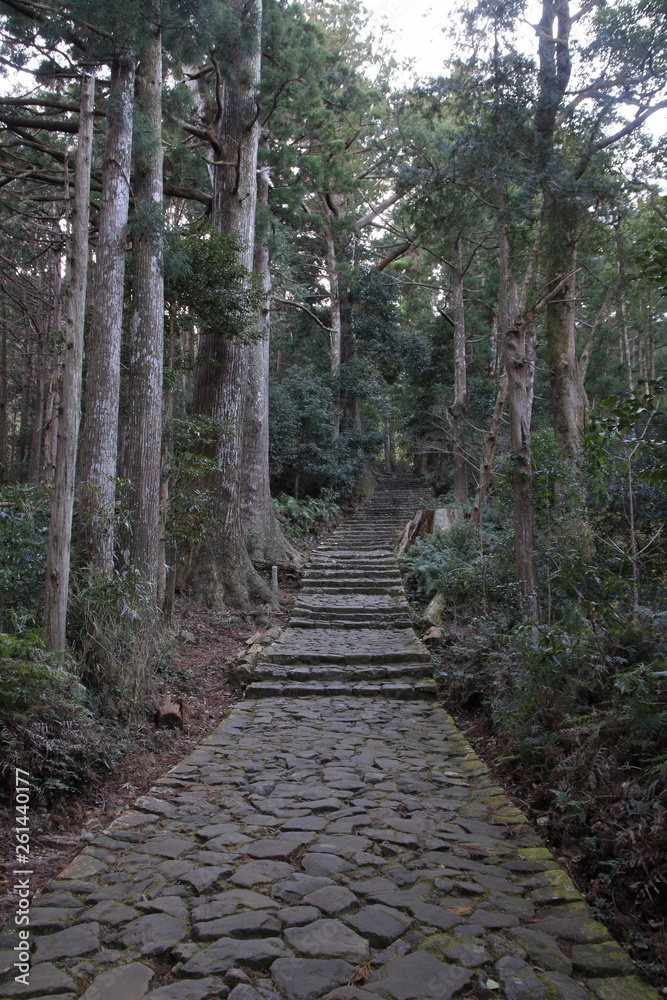 Obraz premium 熊野古道(中辺路) 大門坂