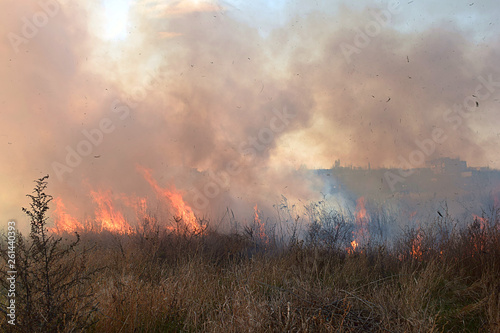 Ignition of dry grass and reeds.