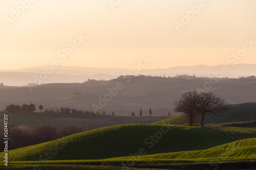 Beautiful view of Tuscany landscape hill at sunset  with mist and warm colors