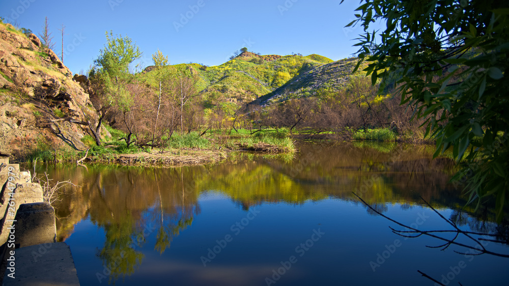 Century lake reflections Century lake reflections