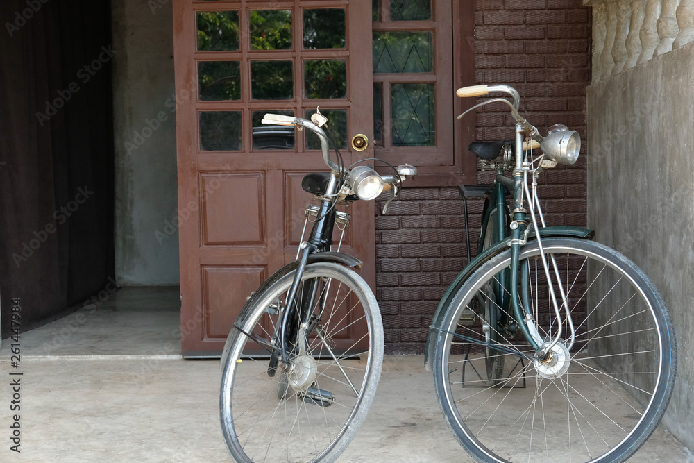 vintage bicycle parked in front of brown door of house