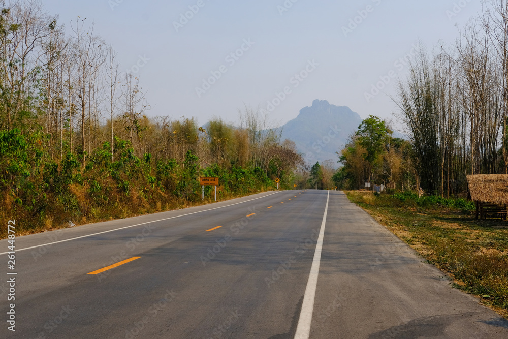 Fototapeta premium country road leading towards mountain in Thailand