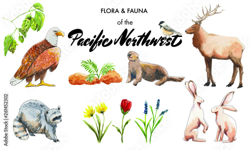 Flora & Fauna of the Pacific Northwest