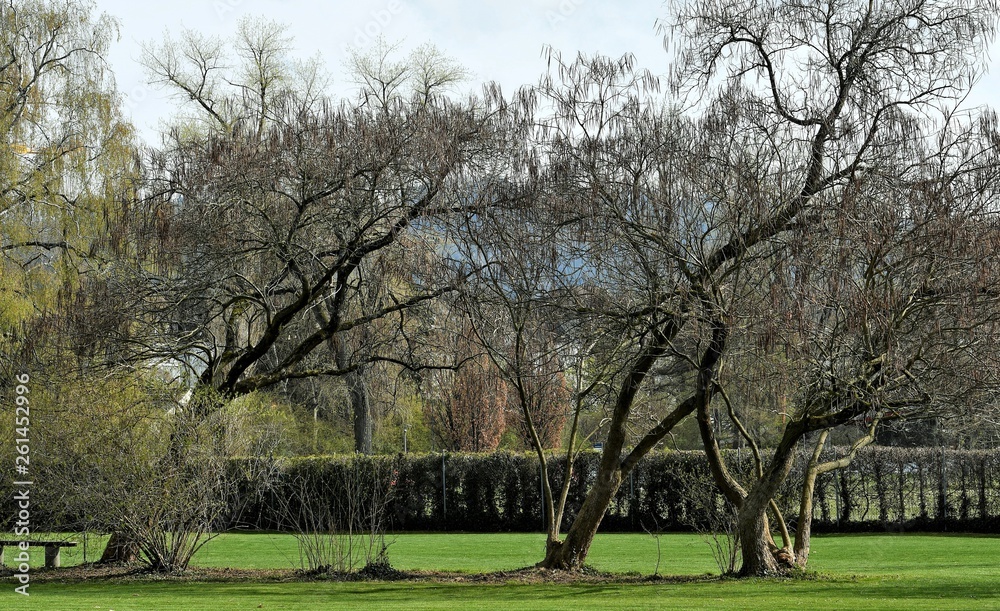 Obraz premium espace vert