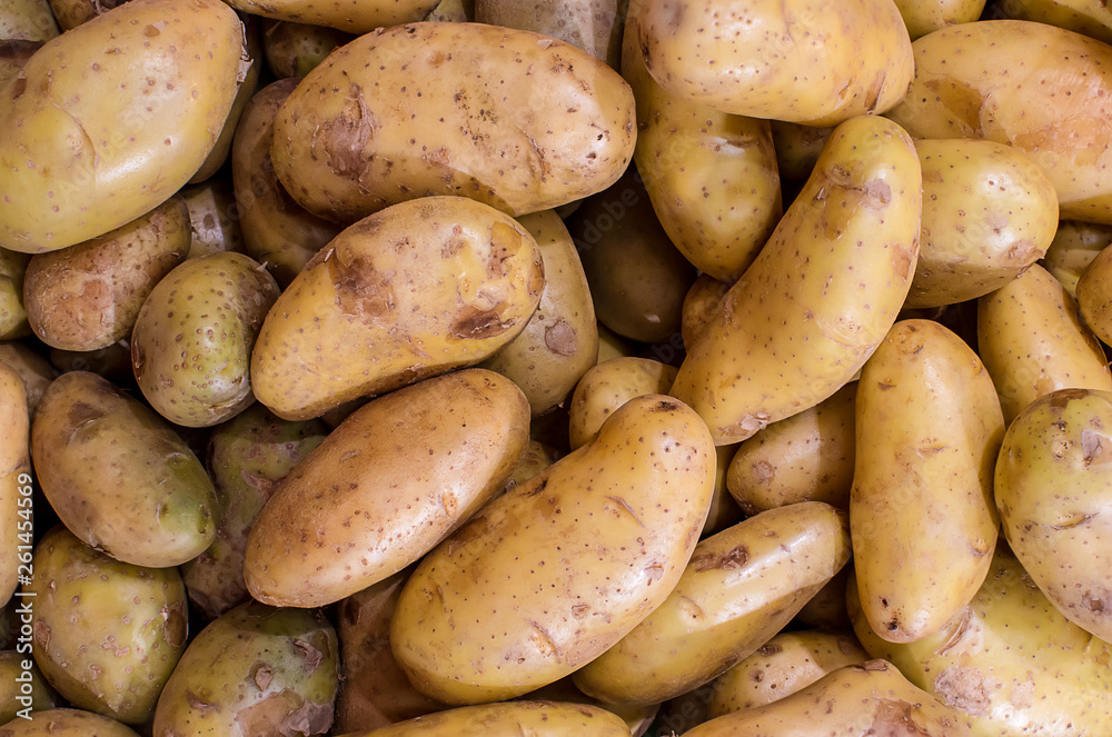 Fresh organic young potatoes sold on market. potatoes raw vegetables food pattern in market. Fresh organic potato stand out among many large background potato in the market. Heap of potato root. Fresh organic young potatoes sold on market. potatoes raw vegetables food pattern in market. Fresh organic potato stand out among many large background potato in the market. Heap of potato root.