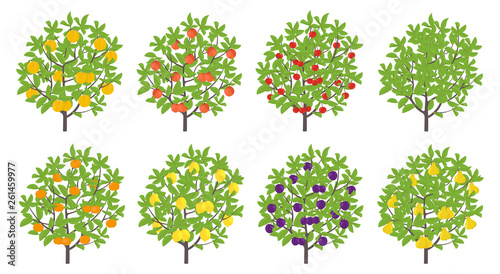 Orchard fruit tree set. Pear and mandarin nectarine apple plum lemon cherry. Vector illustration. Flat vector color Illustration clipart. Ripe edible fruit on a tree.