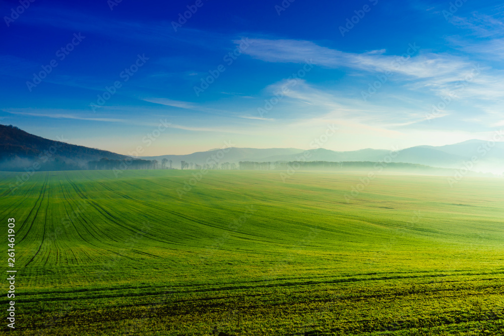Green field and hill landscape