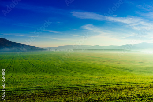 Green field and hill landscape