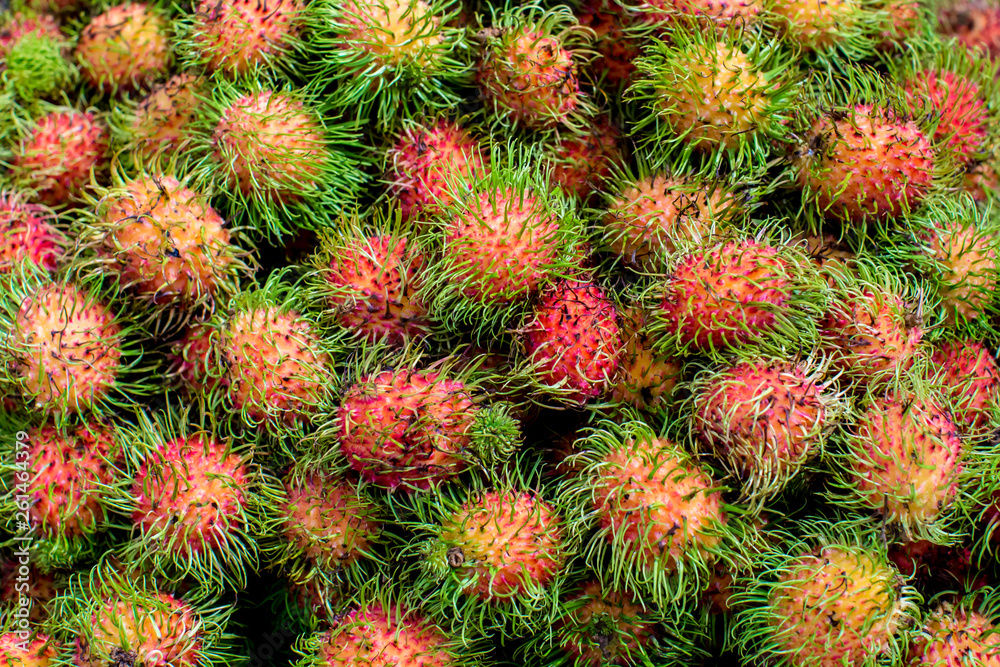 Pile of tropical rambutan fruits. Pink and spiky rambutan are piled on a table at a farmers market. Healthy fruits rambutans background. Pile of tropical rambutan fruits. Pink and spiky rambutan are piled on a table at a farmers market. Healthy fruits rambutans background.