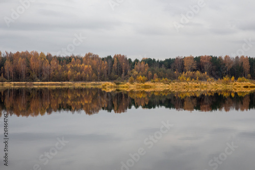 Autumn forest is reflected in the water. Cloudy autumn day.
