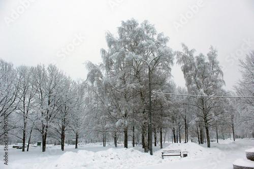 Зимний пейзаж © vikhon
