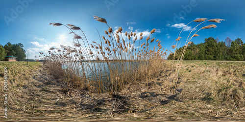 full seamless hdri spherical panorama 360 degrees angle view on thickets of reeds near wide lake in sunny day. 360 panorama in equirectangular projection, ready VR AR virtual reality content © hiv360