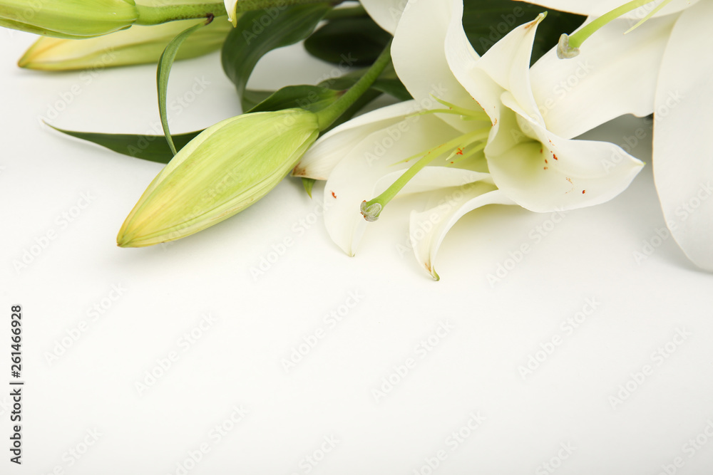 picture for website or business card on the subject of floristry. white Lily flowers on top on white background with copy space. 