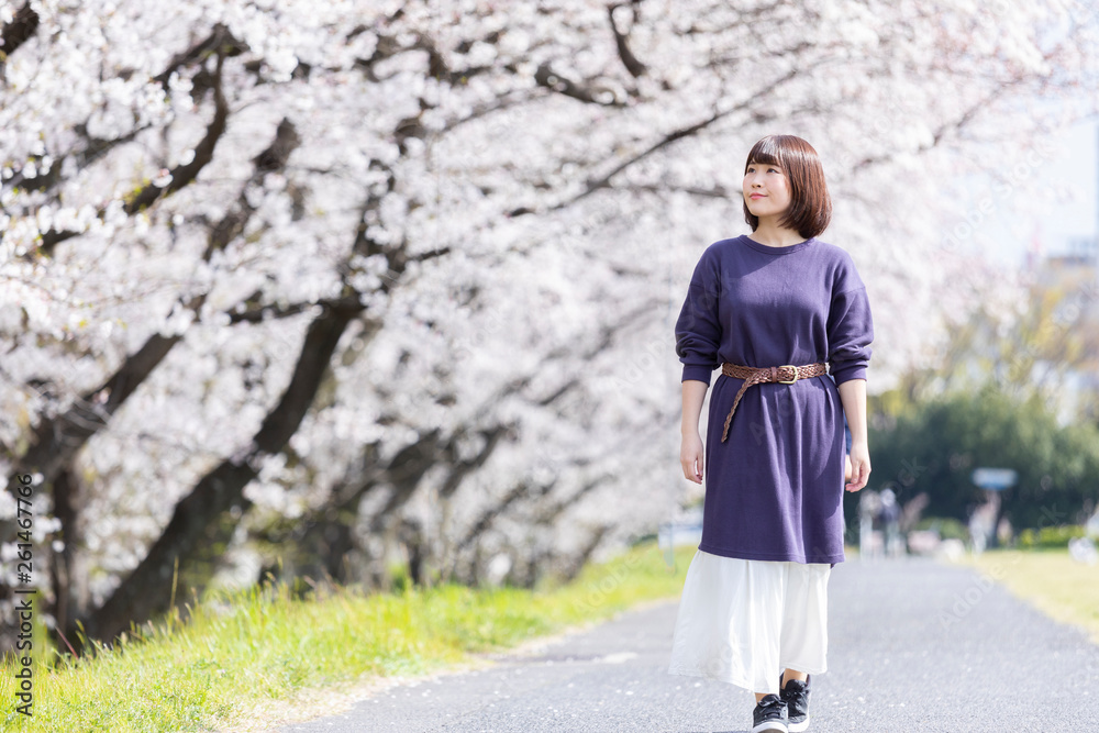 Obraz premium 桜並木を散歩する女性