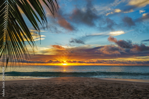 Fototapeta Naklejka Na Ścianę i Meble -  looking through palm leaf at sunset at anse georgette,praslin,seychelles 14