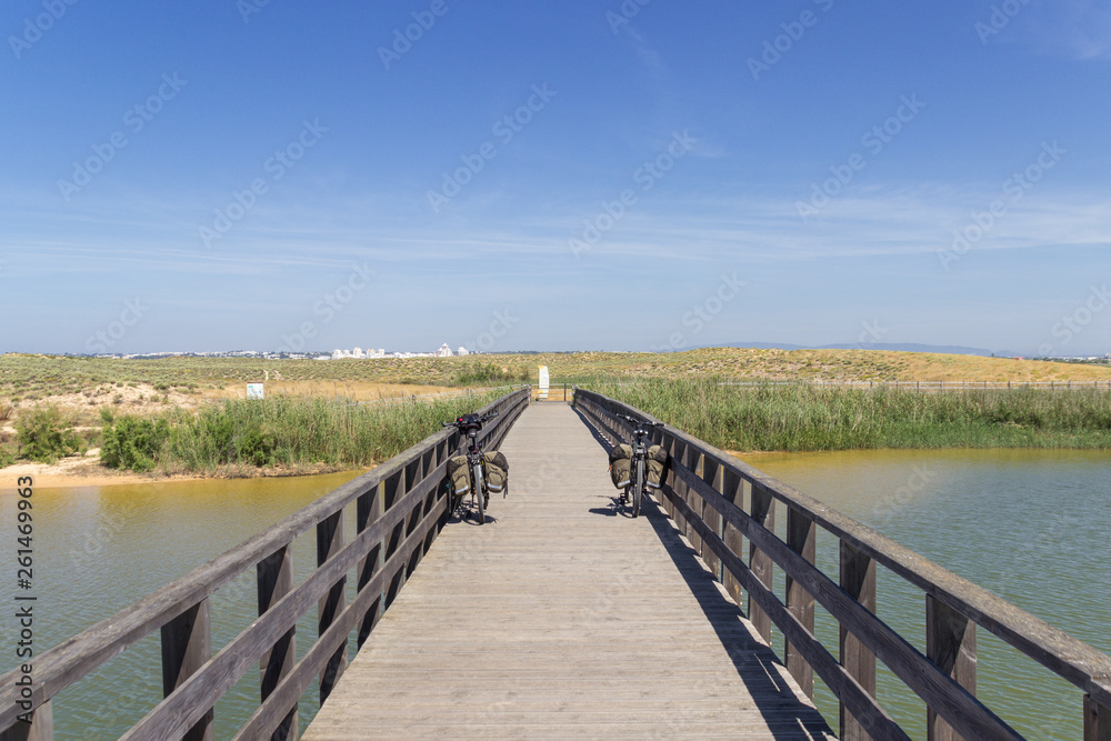Naklejka premium Views near Dos Salgados beach in Algarve (Portugal)