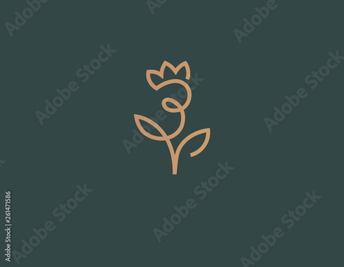 Creative linear logo icon plant flower