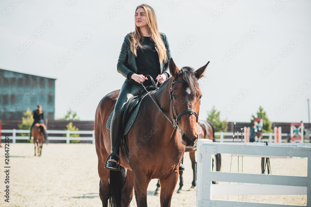 Fototapeta premium Spring - summer season, concept of hobby, Woman with a horse on a nature, relationship human and animals 