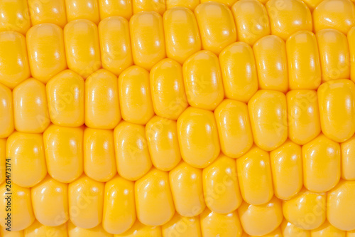 Background of yellow corn grains on the colb,  macro