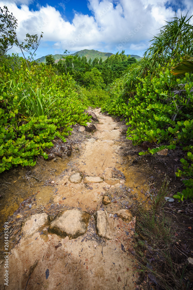Hiking on the seychelles 4