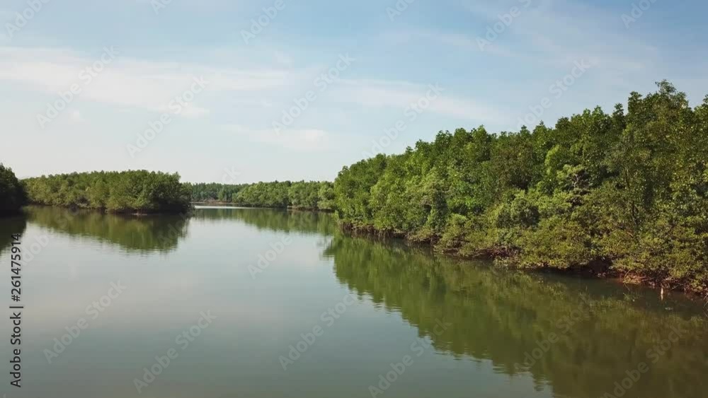 Flying over the river between mangrove forest in Phang Nga province, Thailand, 4k Flying over the river between mangrove forest in Phang Nga province, Thailand, 4k