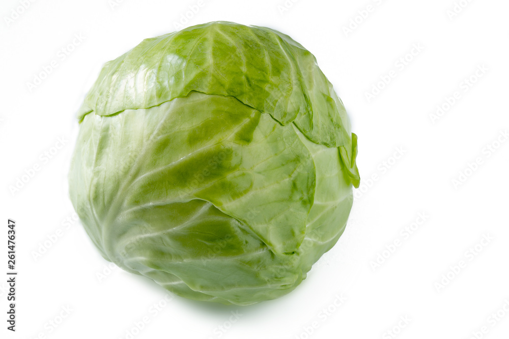 cabbage on pure white background cabbage on pure white background