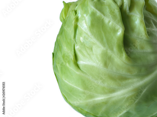 White cabbage on a white background