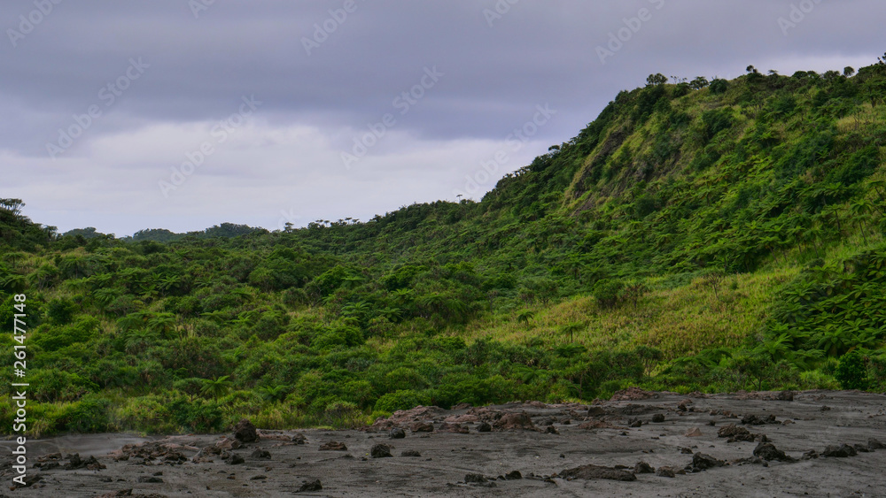 Dark stormy clouds gather above the dense rainforest covering the wilderness. Dark stormy clouds gather above the dense rainforest covering the wilderness.