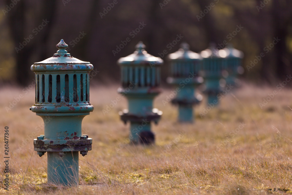 An abstract shot of multiple blue fire hydrants sitting in a field